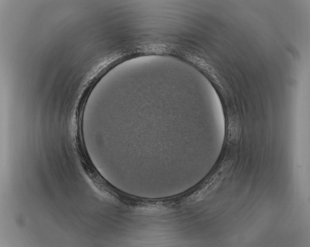 X0000112020674200909141036