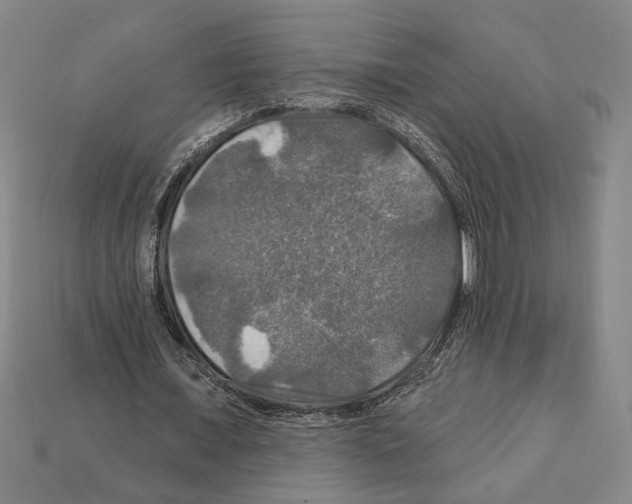 X0000112020675200909141036