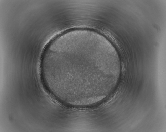 X0000112020676200909141036