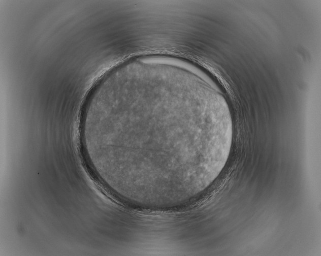 X0000112020677200909141036