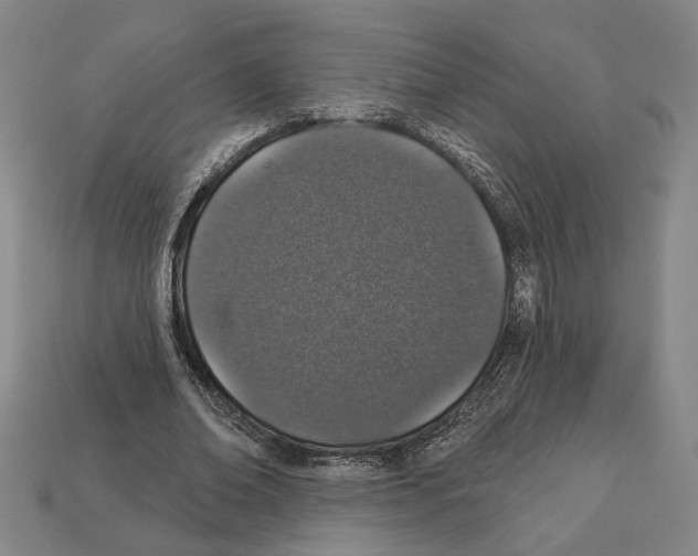 X0000112020678200909141036