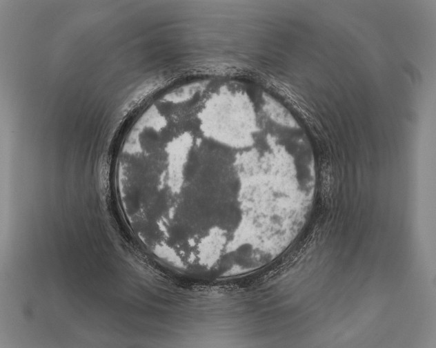 X0000112020679200909141036