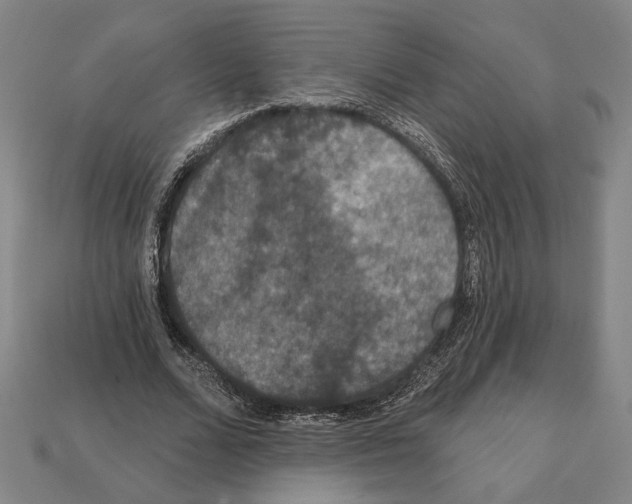 X0000112020680200909141036