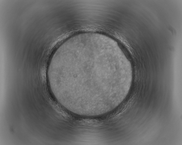 X0000112020681200909141036