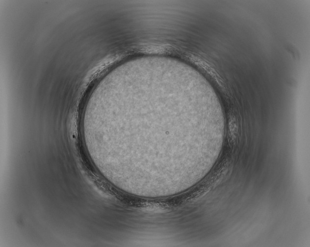 X0000112020682200909141036