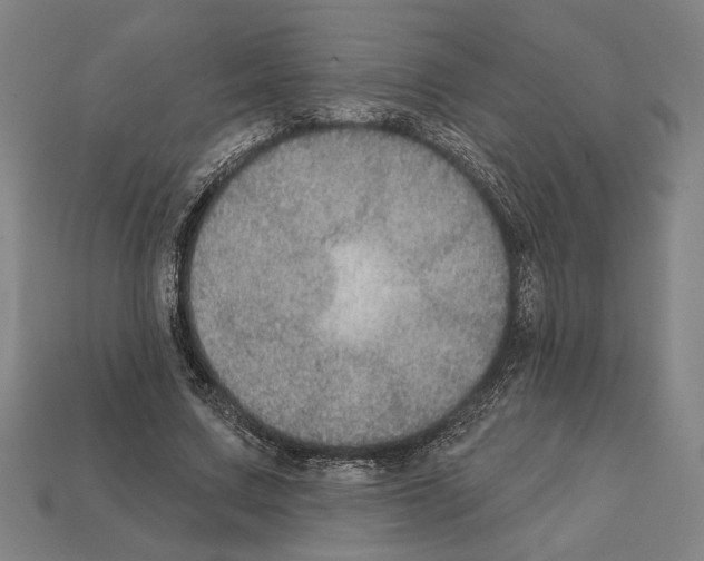 X0000112020683200909141036