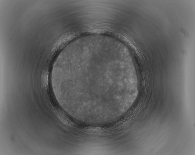 X0000112020685200909141036