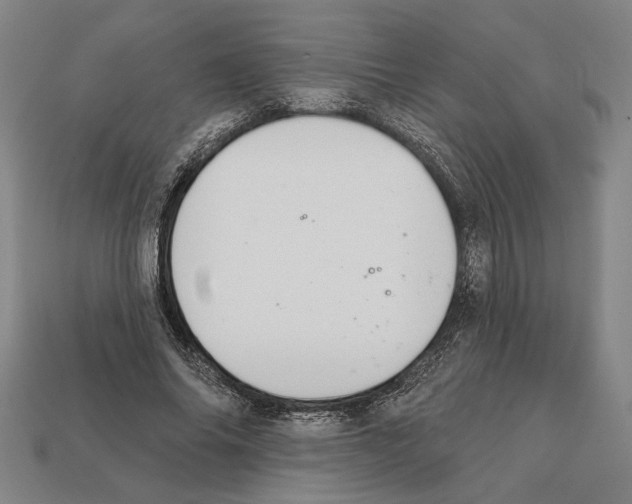 X0000112020686200909141036