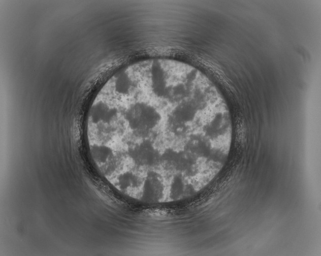 X0000112020687200909141036