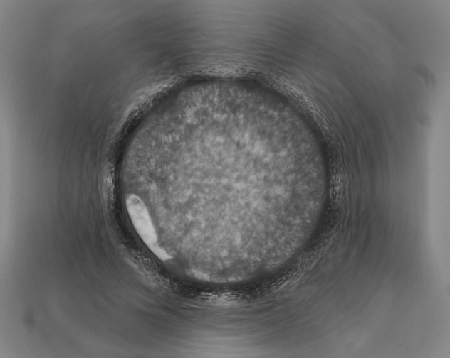 X0000112020688200909141036