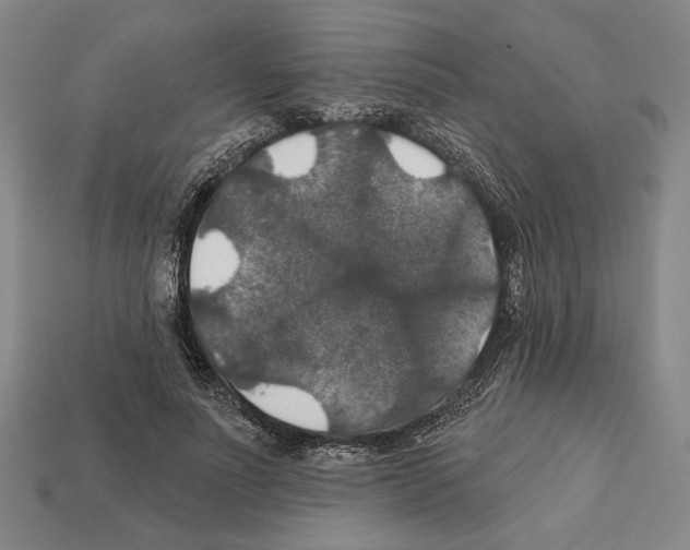 X0000112020691200909141036