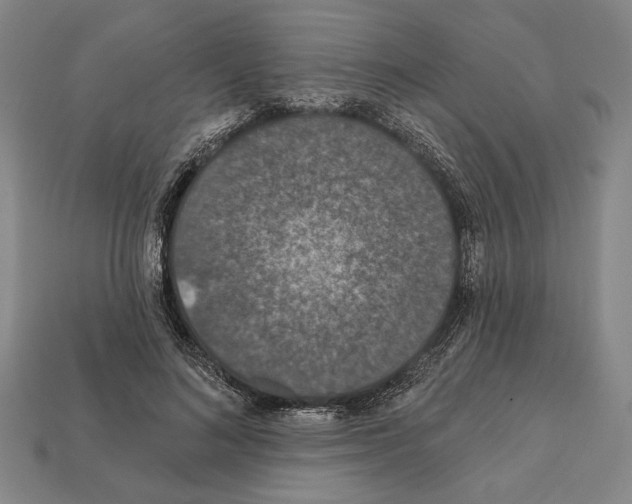 X0000112020692200909141036