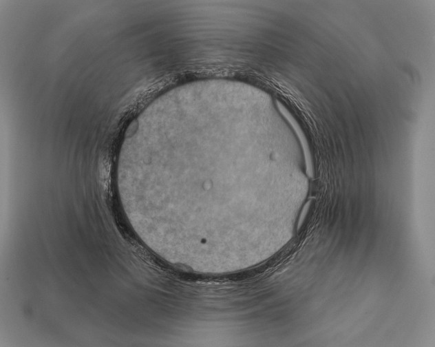 X0000112020693200909141036