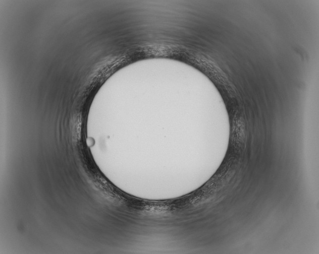 X0000112020694200909141036