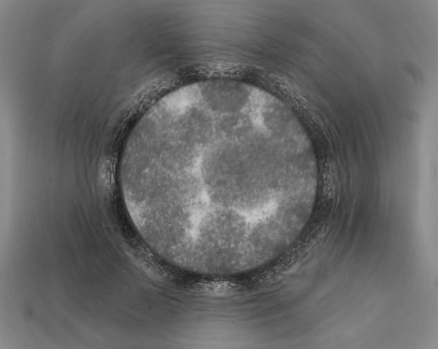 X0000112020695200909141036