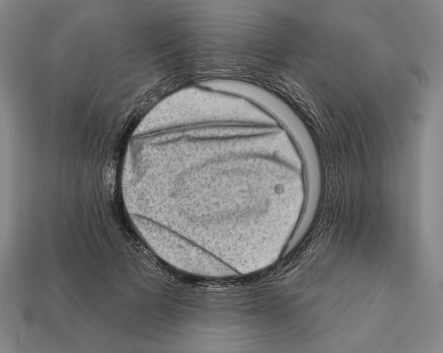 X0000112020697200909141036