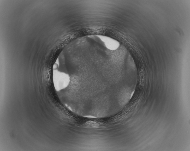 X0000112020699200909141036