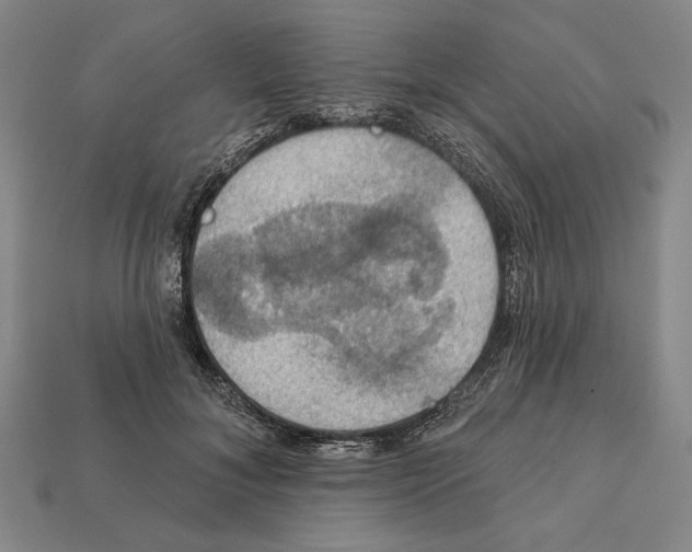 X0000112020700200909141036