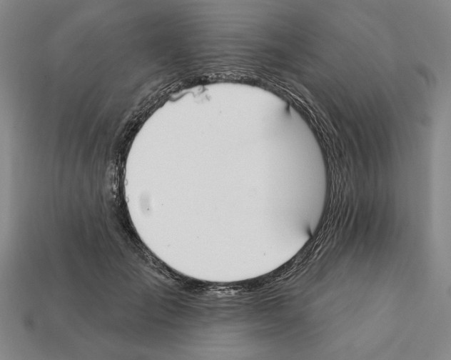 X0000112020701200909141036