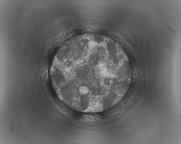 X0000112020703200909141036