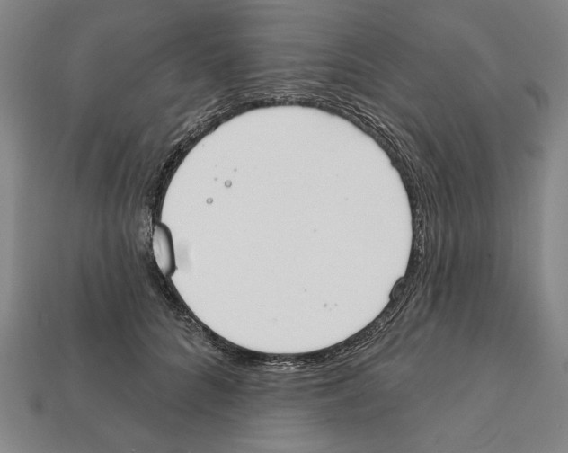 X0000112020704200909141036