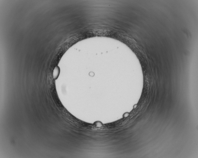 X0000112020705200909141036