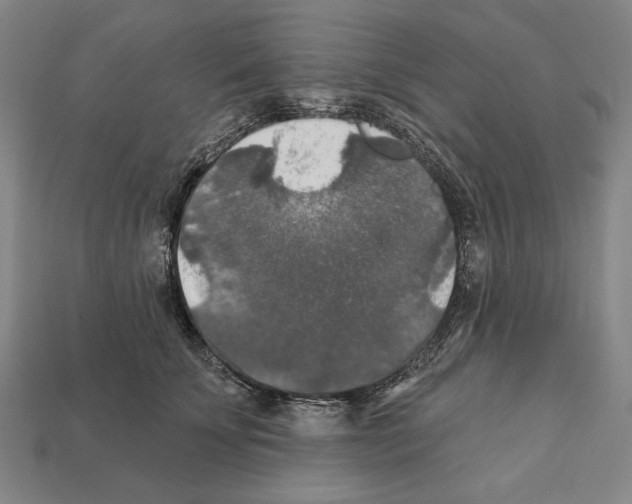 X0000112020707200909141036