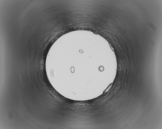 X0000112020708200909141036