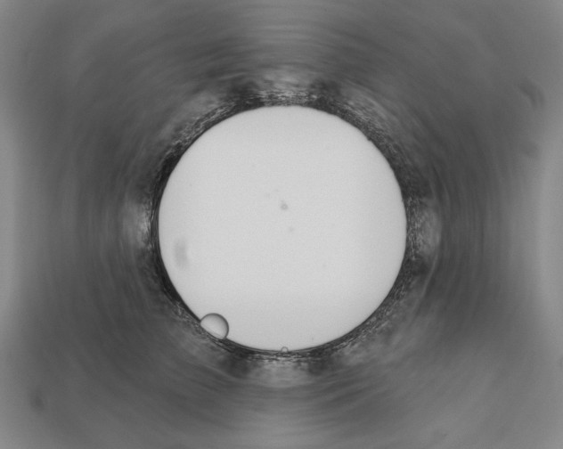 X0000112020709200909141036