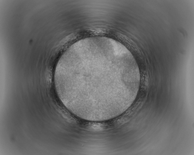 X0000112020710200909141036