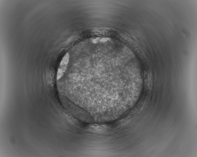 X0000112020712200909141036