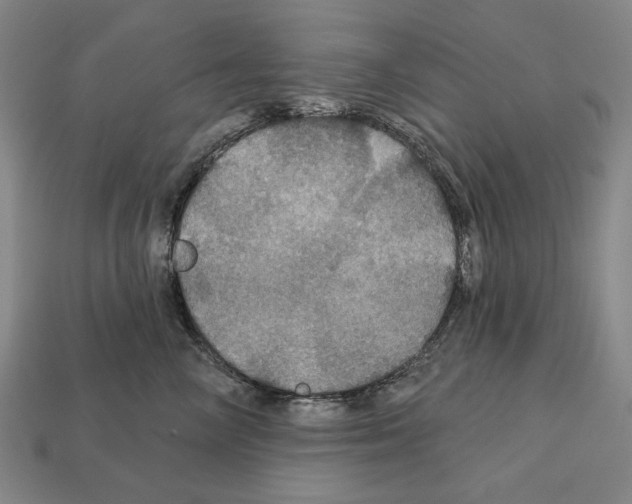 X0000112020714200909141036