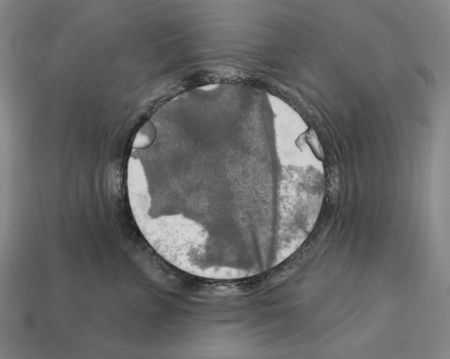 X0000112020715200909141036