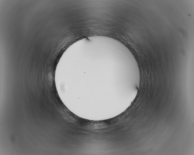 X0000112020716200909141036