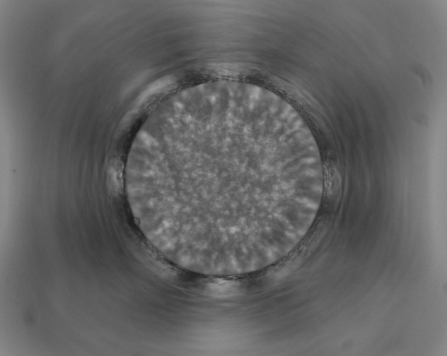 X0000112020718200909141036