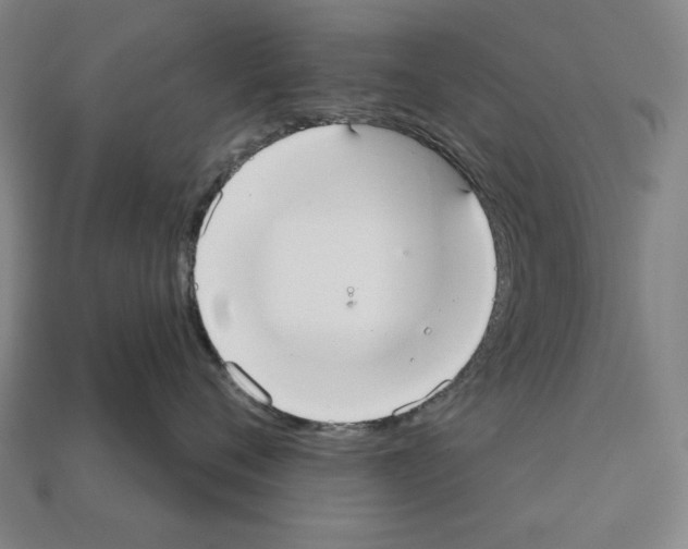 X0000112020720200909141036