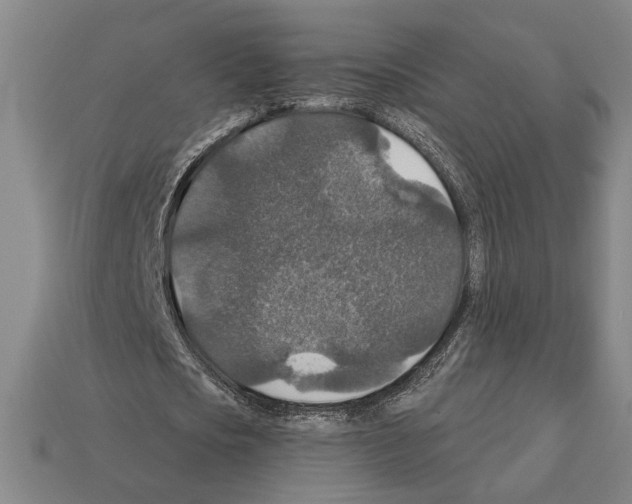 X0000112020721200909141035