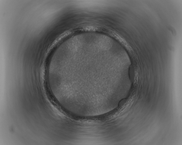 X0000112020722200909141035