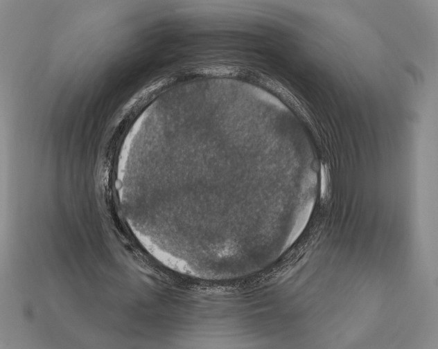 X0000112020723200909141035