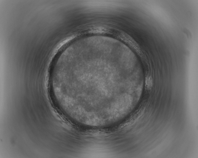 X0000112020724200909141035