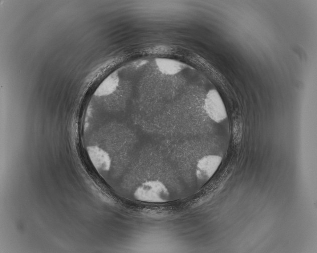 X0000112020725200909141035