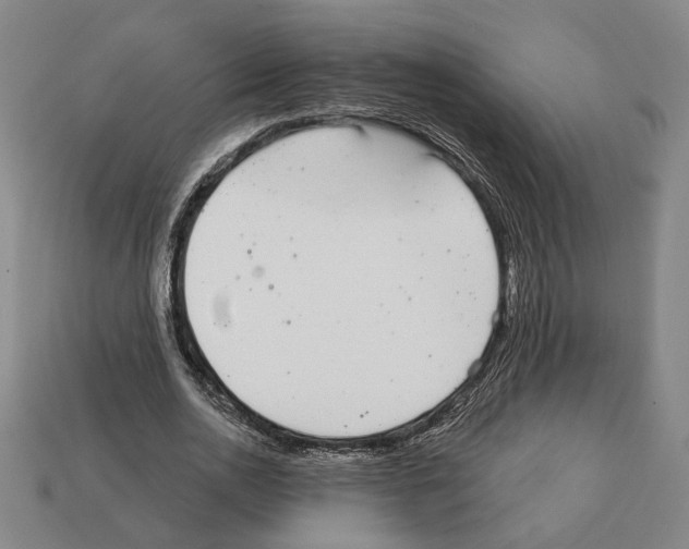 X0000112020726200909141035