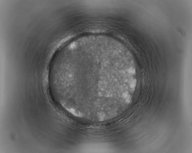 X0000112020727200909141035