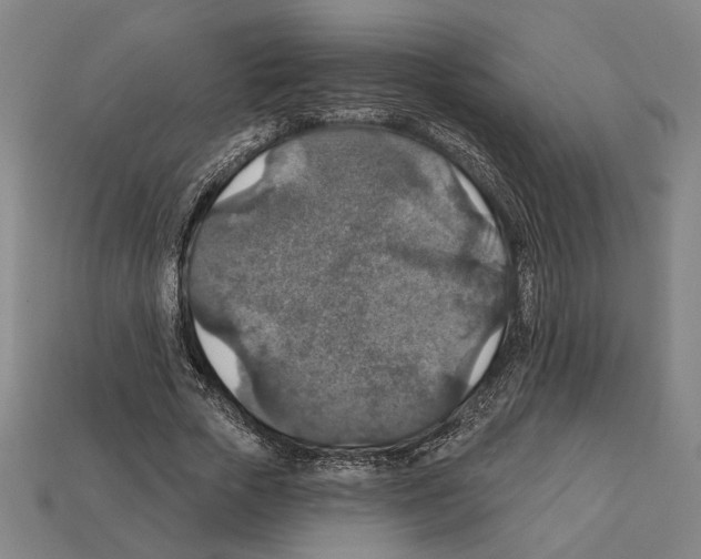 X0000112020729200909141035