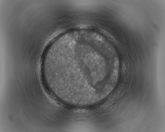 X0000112020730200909141035