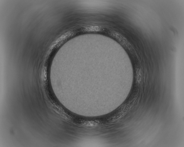 X0000112020731200909141035