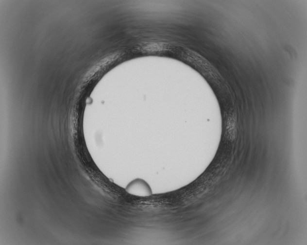 X0000112020732200909141035