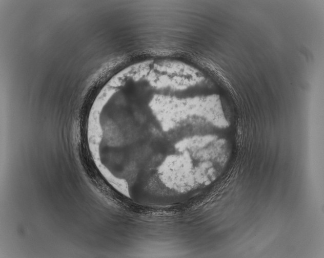 X0000112020734200909141035