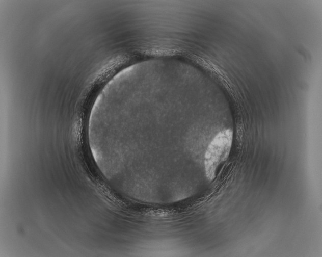 X0000112020735200909141035