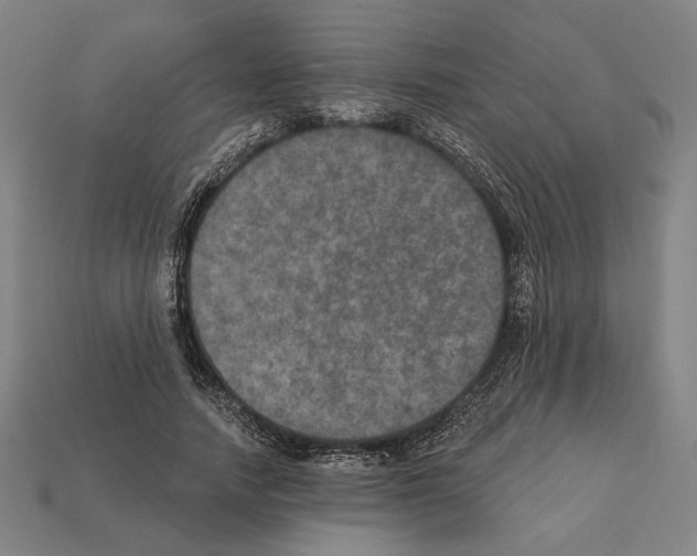 X0000112020738200909141035